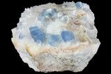 Blue, Cubic Fluorite Crystal Cluster - New Mexico #100985-1